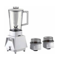 Jamuna UBC 06 Blender