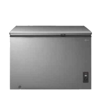 LG Deep Freezer GR k310DSLB