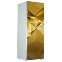 Orion 246L Refrigerator Golden OHG-24T6GD09