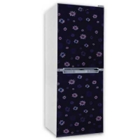 Vision GD Refrigerator Re-160 L Blue Star Flower-BM