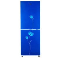 Vision GD Refrigerator RE-222 L Blue Flower TM