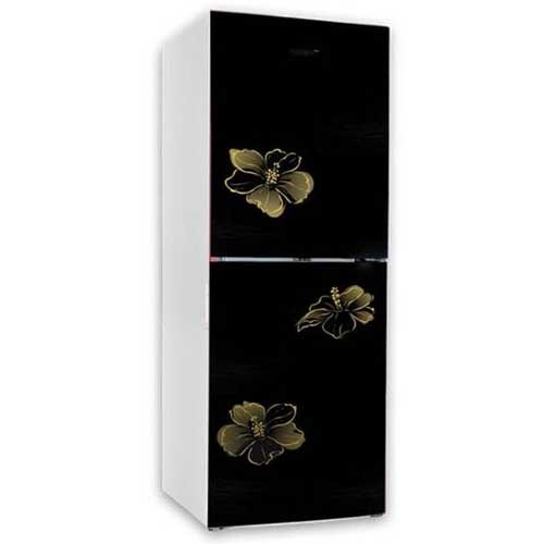 Vision VSN GD Refrigerator RE-252L Mirror Lotus FL BM