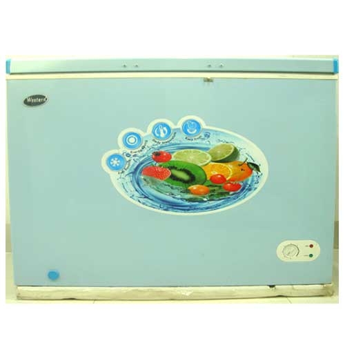 Western Deep Fridge WI-09ZH