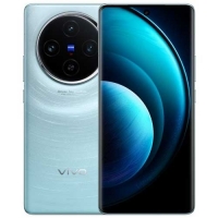 Vivo X100